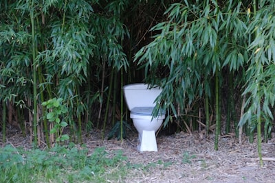 Different Types of Toilets and Their Benefits 2 img