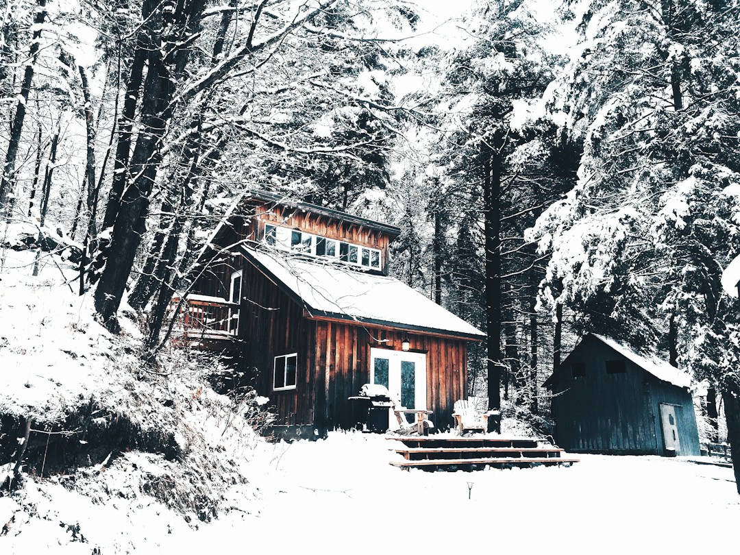 How To Get Your Home Ready for the Winter Holiday Season 2 img