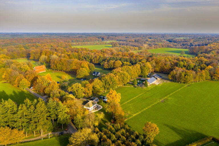a landscape with trees and houses